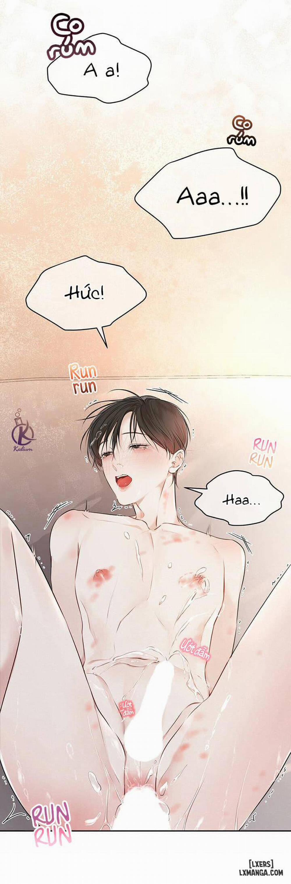 Hình thái khởi sinh 28 trang 16