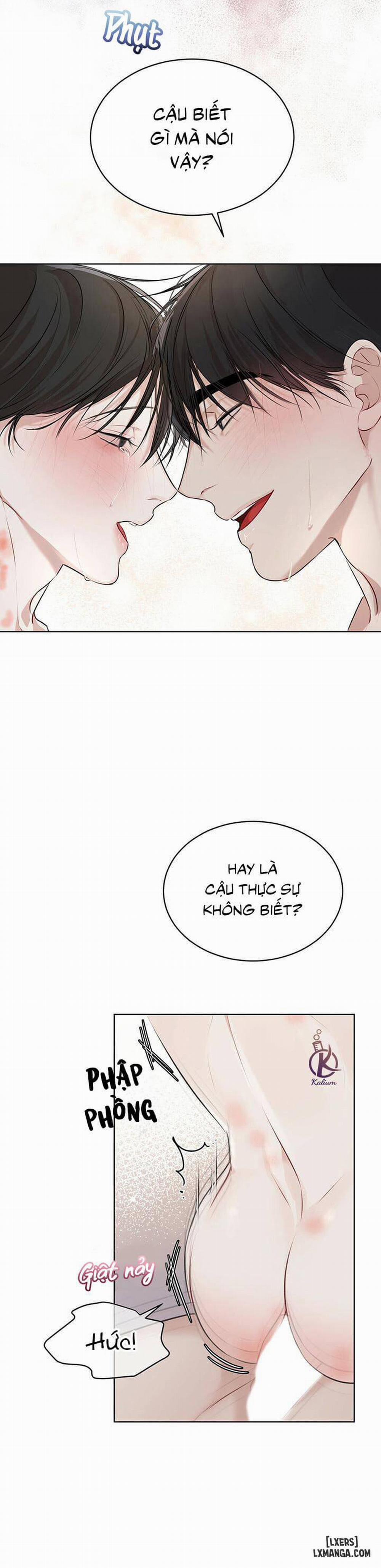 Hình thái khởi sinh 28 trang 28