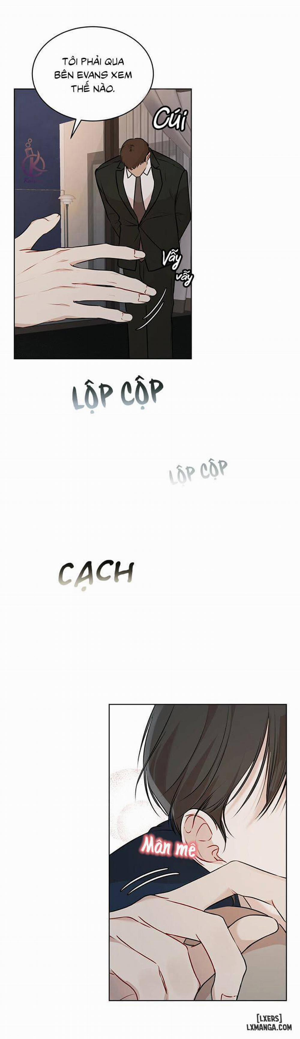 Hình thái khởi sinh 29 trang 25