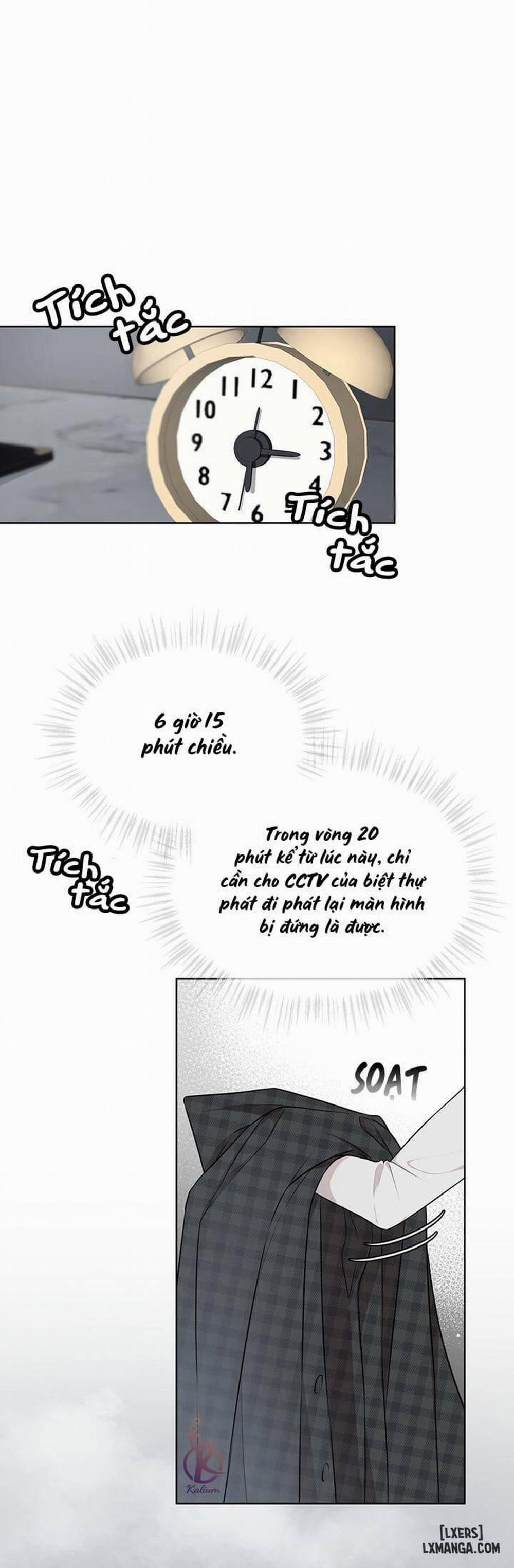 Hình thái khởi sinh 30 trang 0