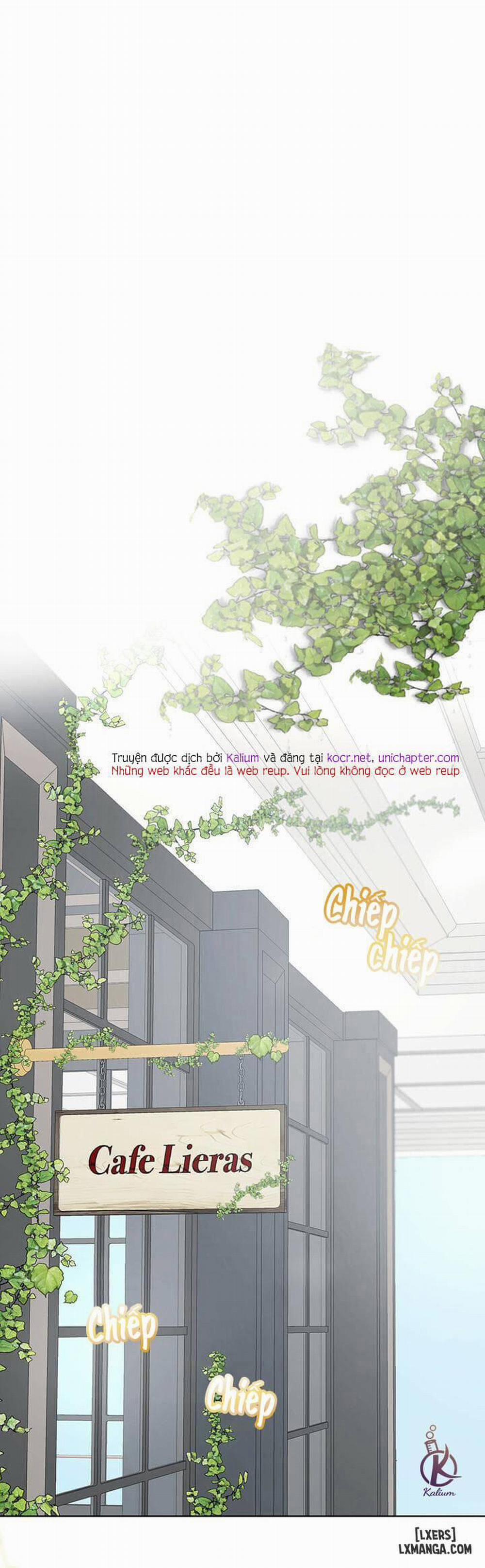 Hình thái khởi sinh 31 trang 0