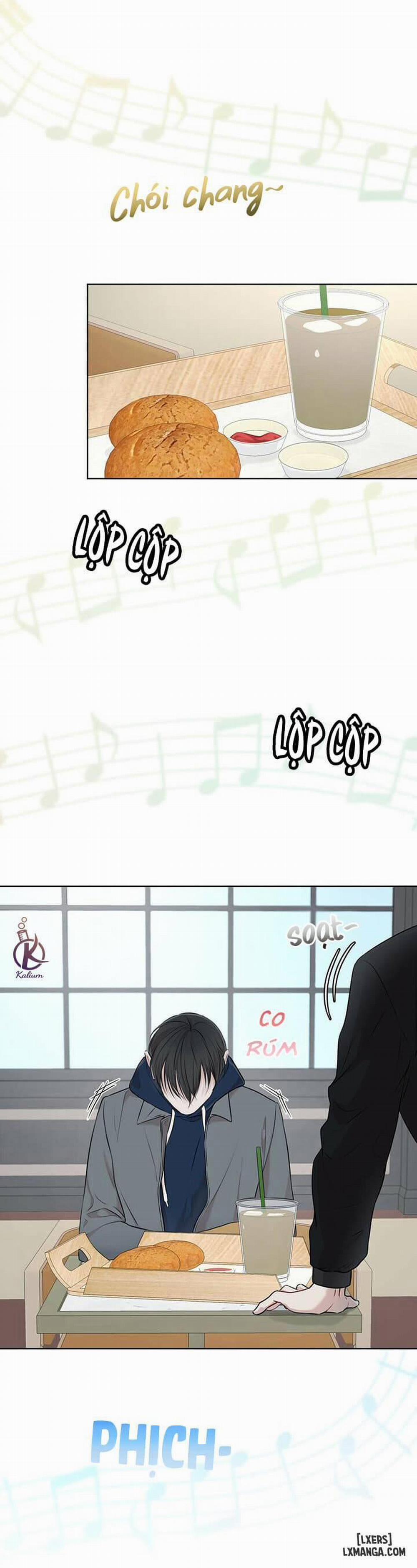 Hình thái khởi sinh 31 trang 1