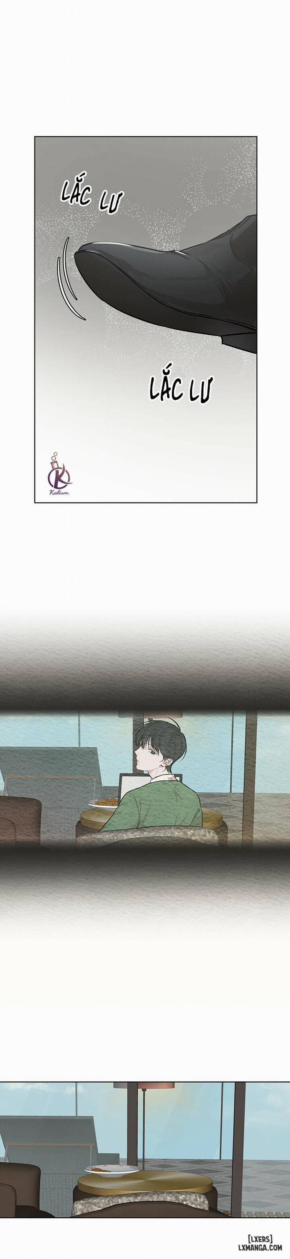 Hình thái khởi sinh 31 trang 15