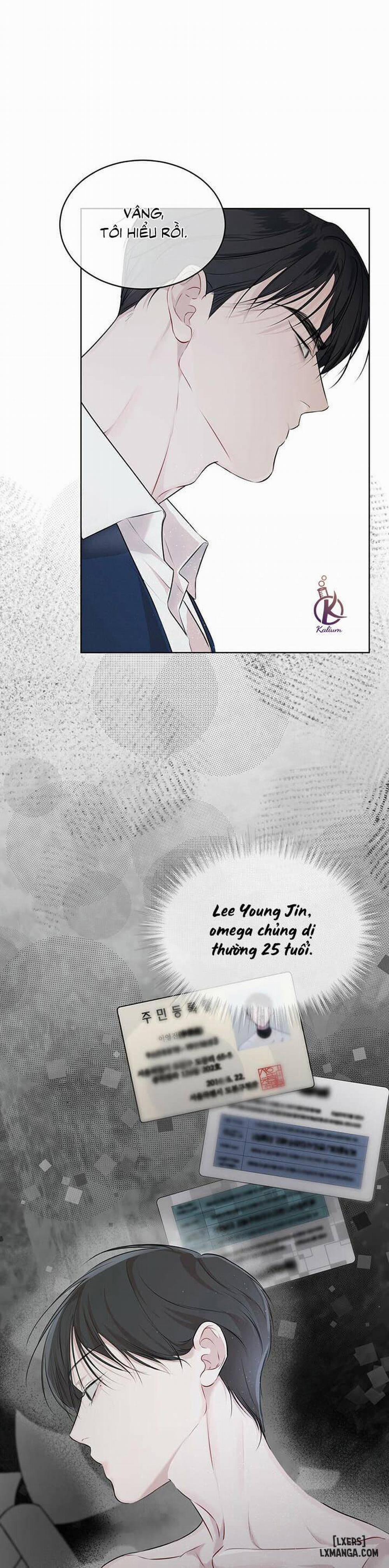 Hình thái khởi sinh 32 trang 14