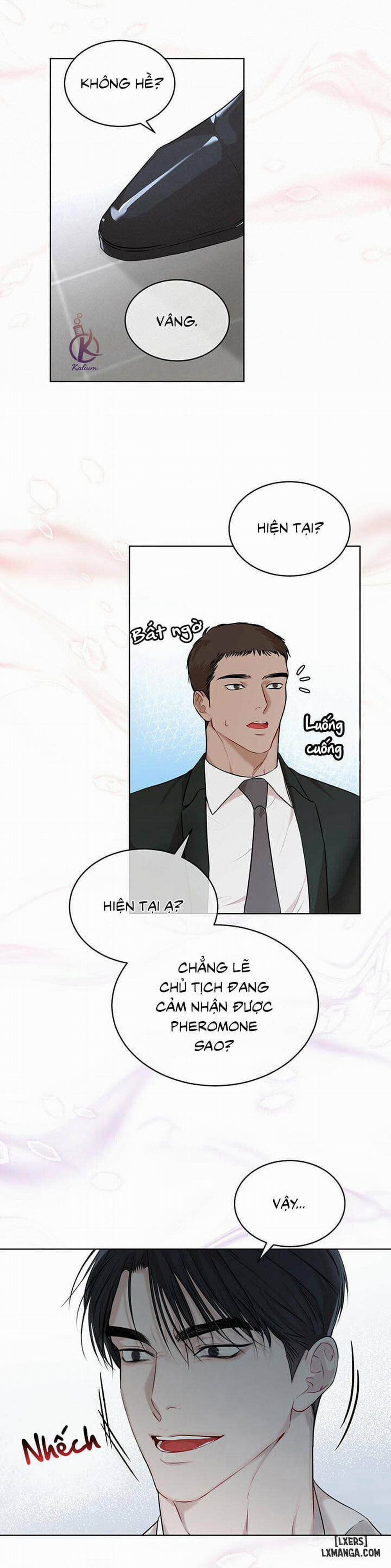 Hình thái khởi sinh 32 trang 9