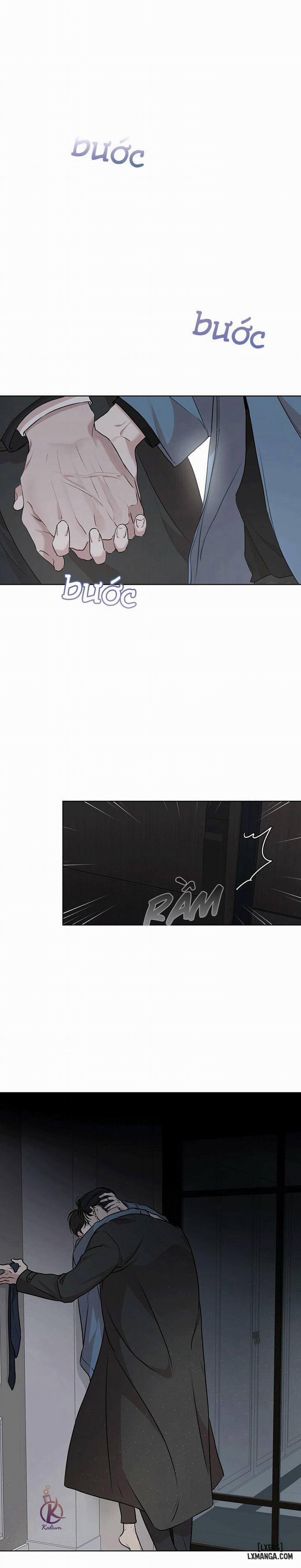 Hình thái khởi sinh 36 trang 15