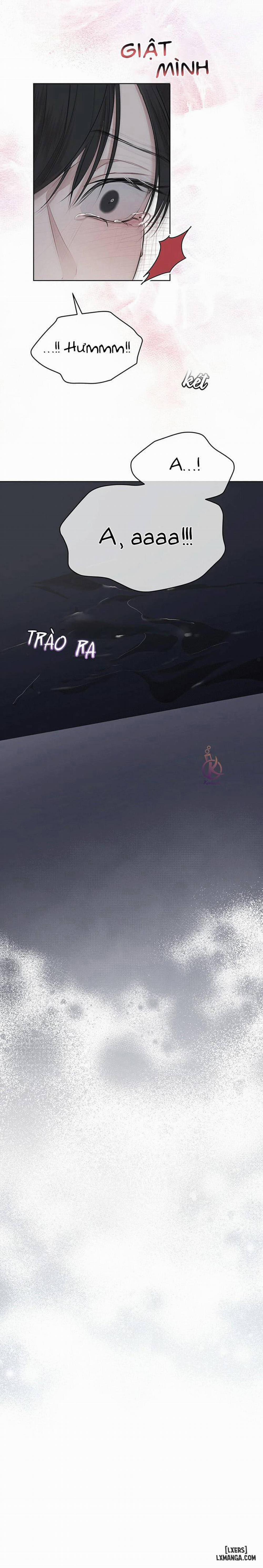 Hình thái khởi sinh 37 trang 16