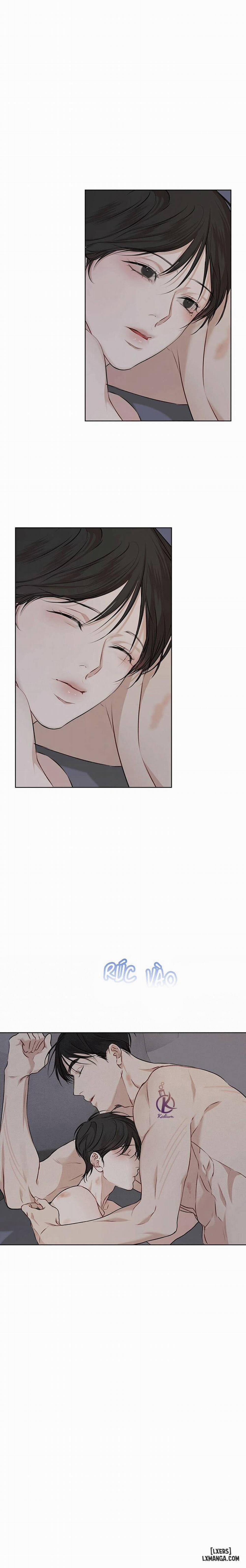 Hình thái khởi sinh 37 trang 19