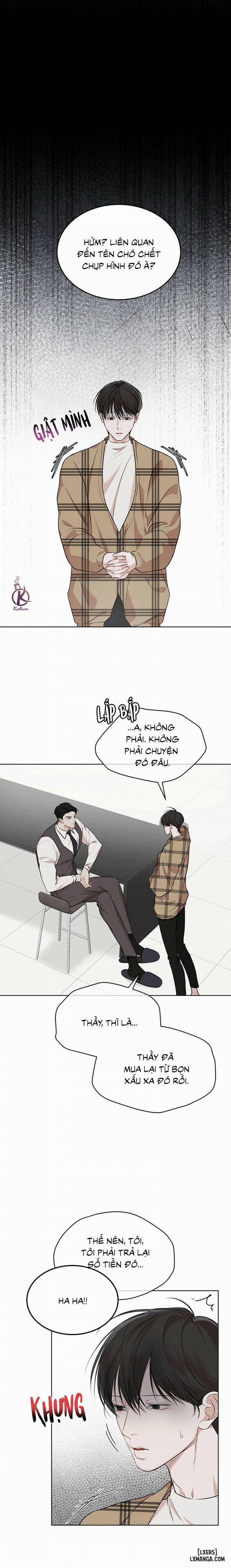 Hình thái khởi sinh 38 trang 17