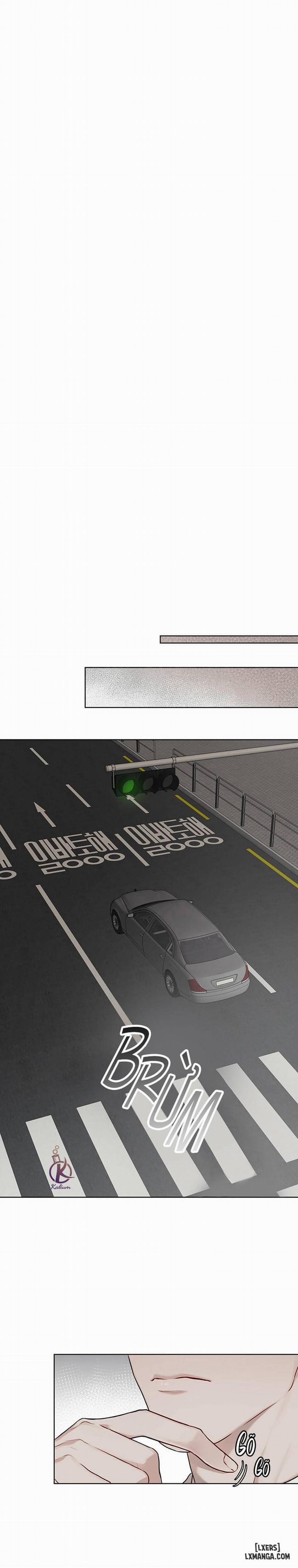 Hình thái khởi sinh 39 trang 12