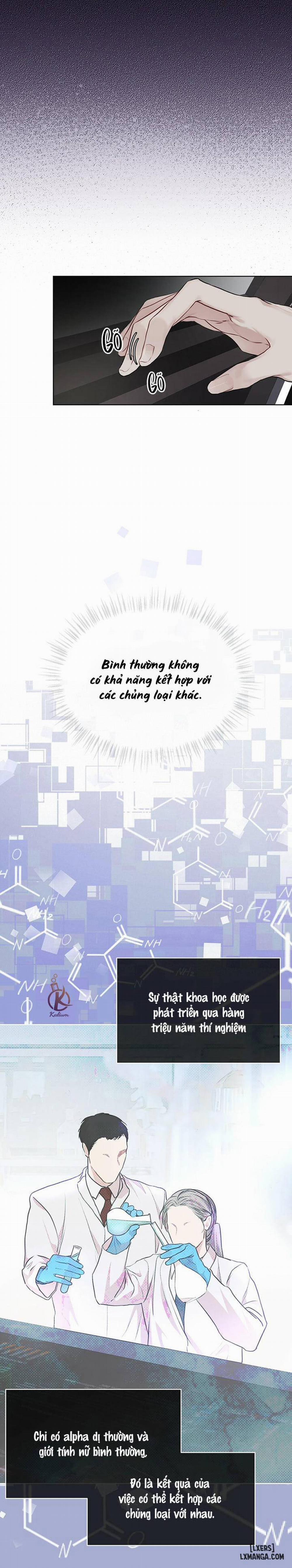 Hình thái khởi sinh 39 trang 17