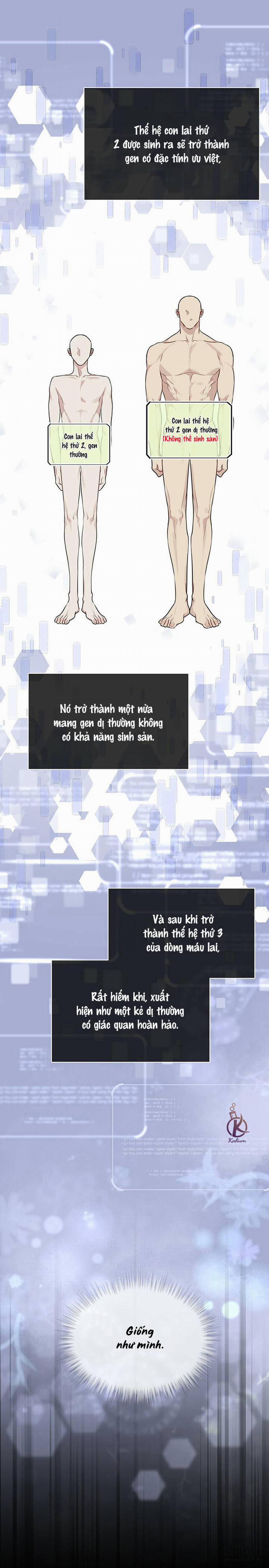 Hình thái khởi sinh 39 trang 18