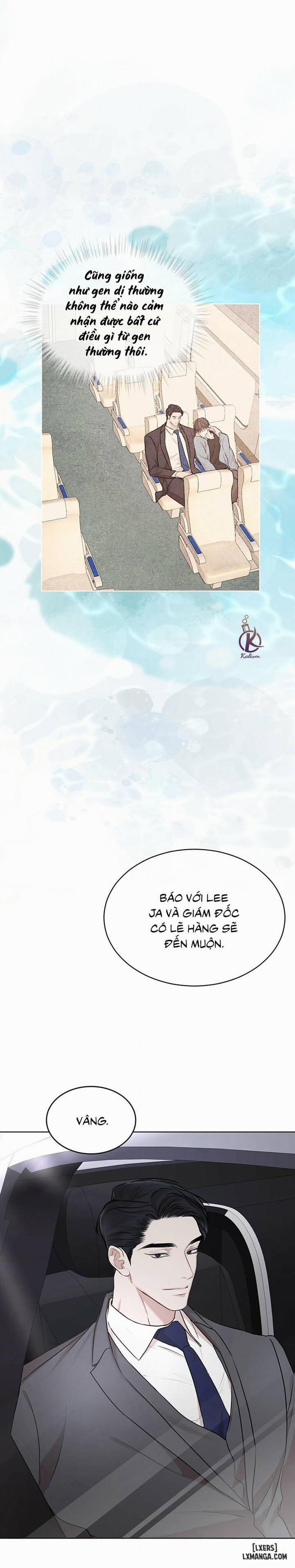 Hình thái khởi sinh 39 trang 22