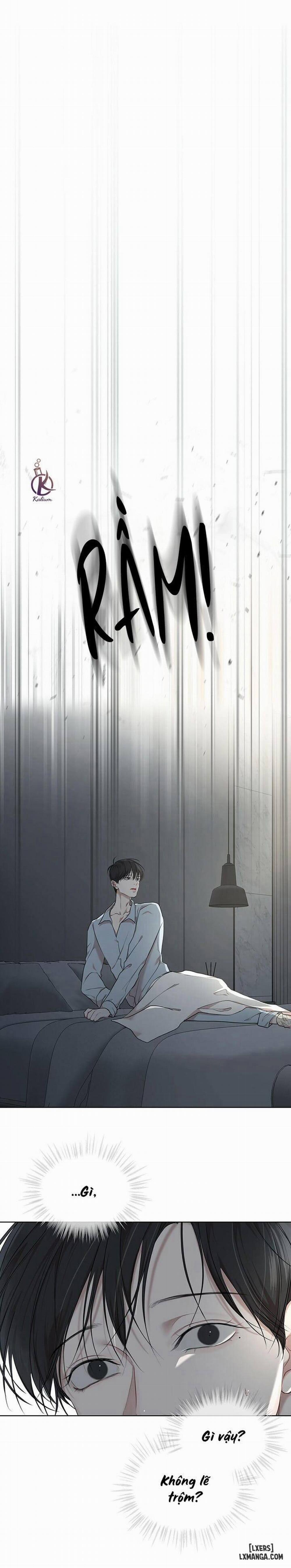 Hình thái khởi sinh 41 trang 19