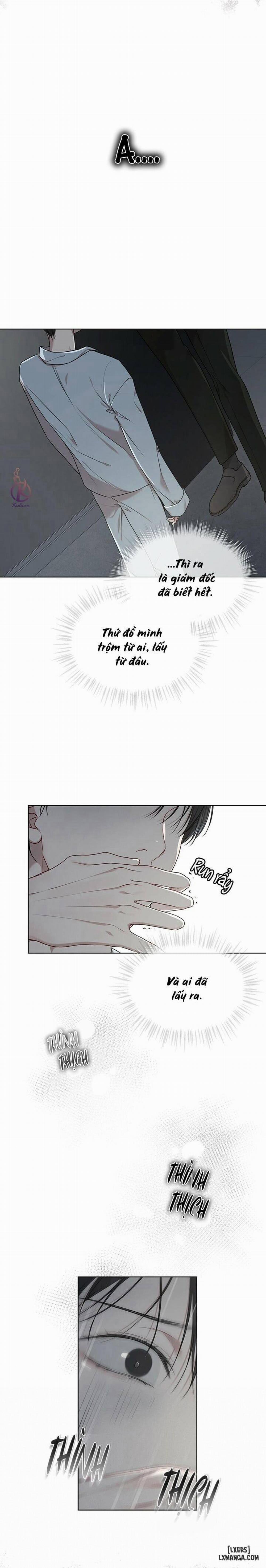 Hình thái khởi sinh 42 trang 8