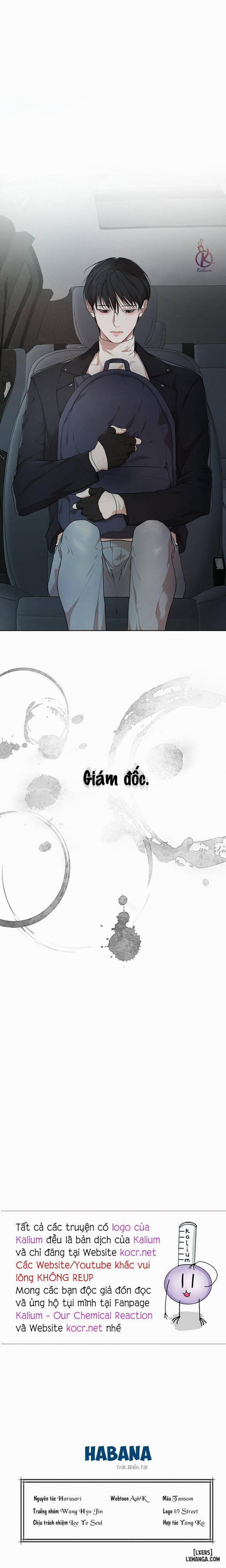 Hình thái khởi sinh 43 trang 19