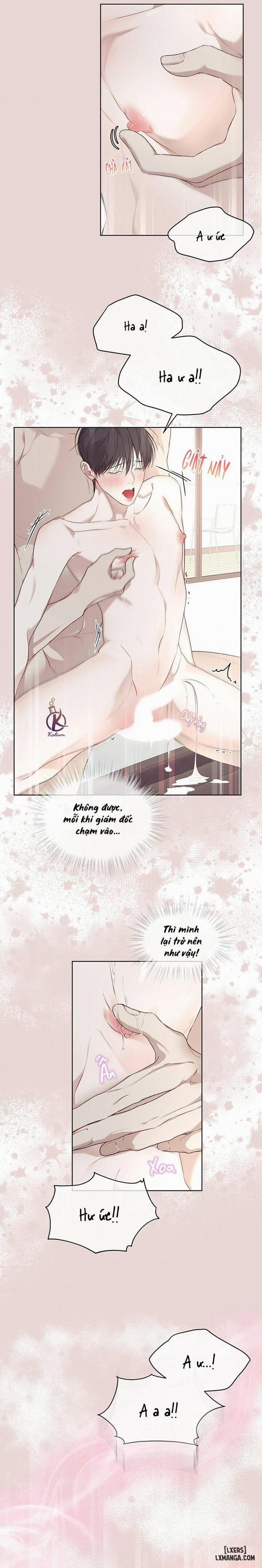 Hình thái khởi sinh 43 trang 6