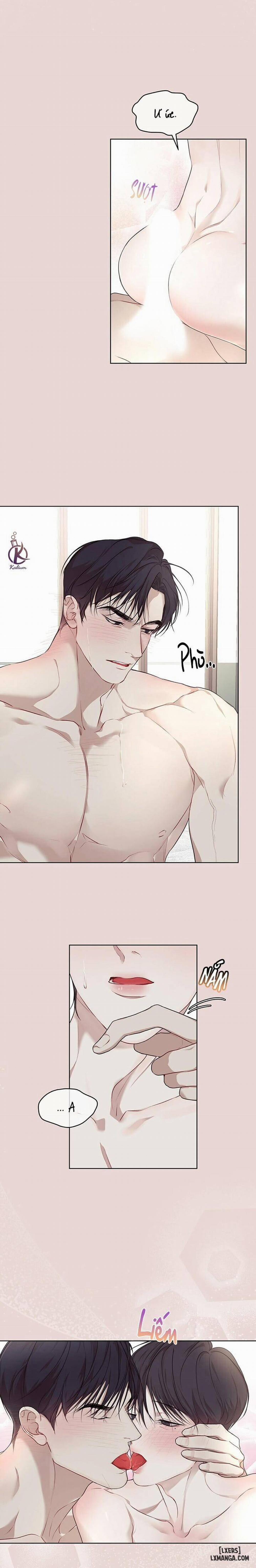 Hình thái khởi sinh 43 trang 8