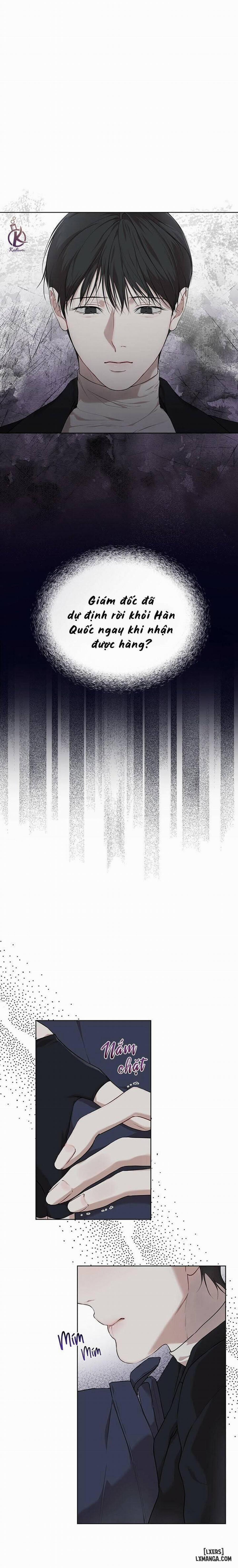 Hình thái khởi sinh 44 trang 0