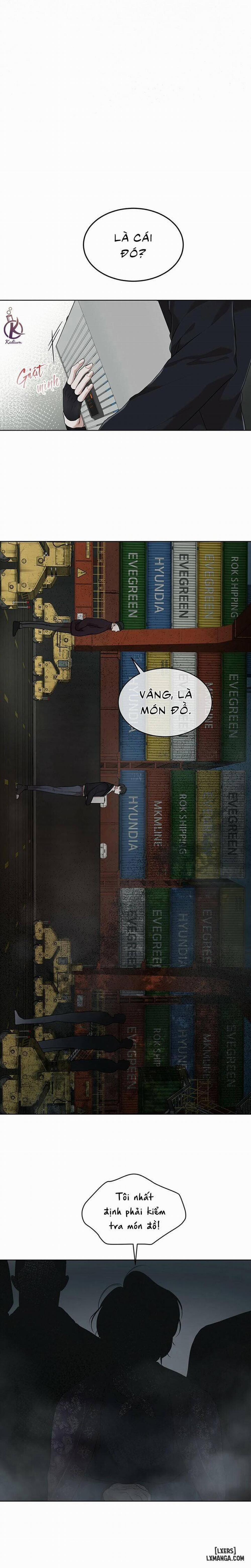 Hình thái khởi sinh 44 trang 16