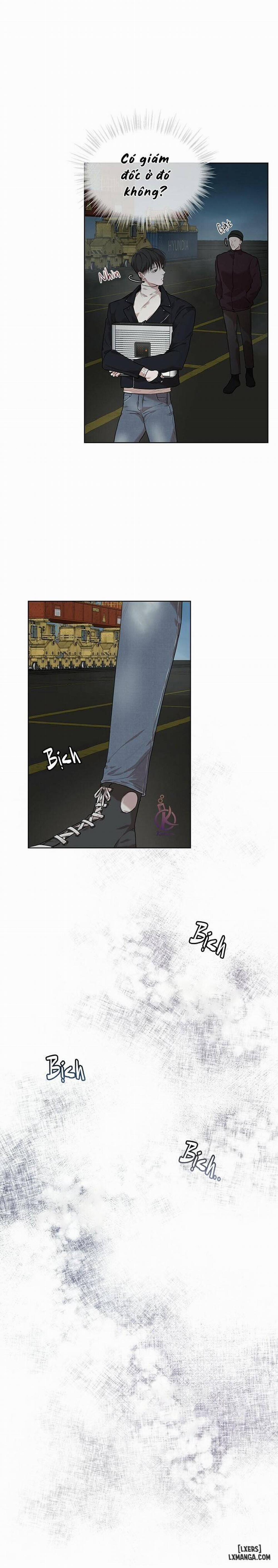 Hình thái khởi sinh 44 trang 17