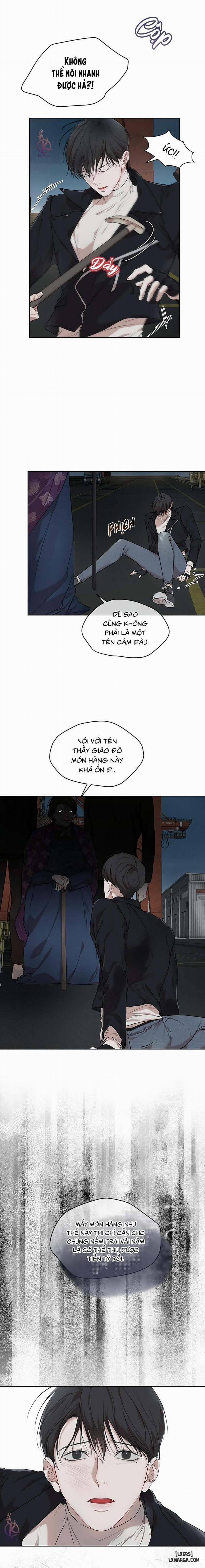 Hình thái khởi sinh 45 trang 2