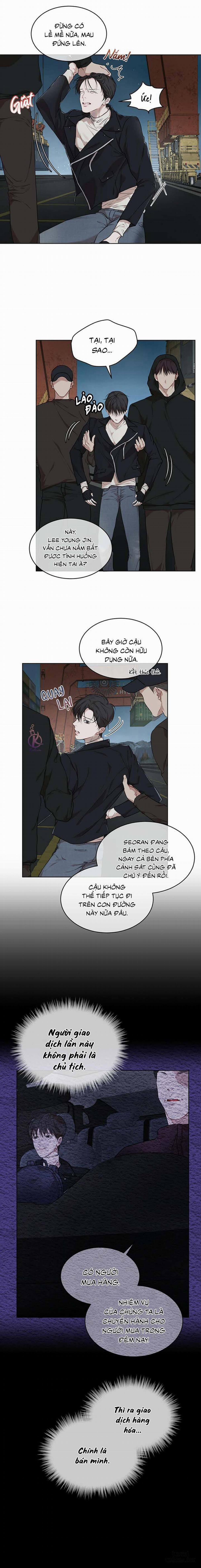 Hình thái khởi sinh 45 trang 4