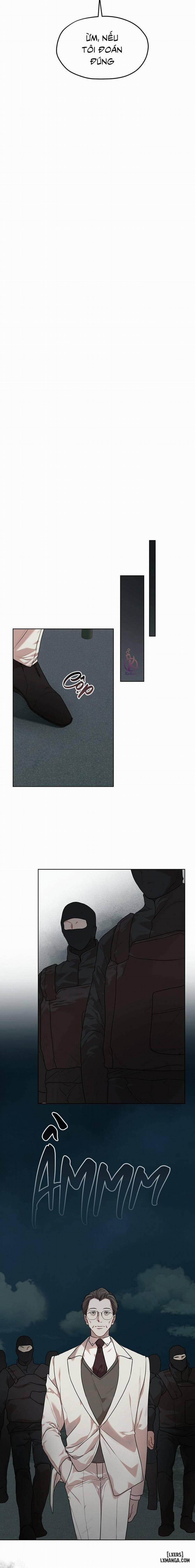 Hình thái khởi sinh 48 trang 17