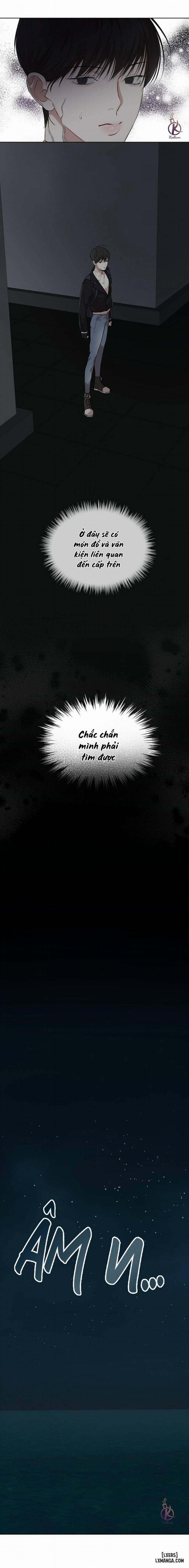 Hình thái khởi sinh 49 trang 11