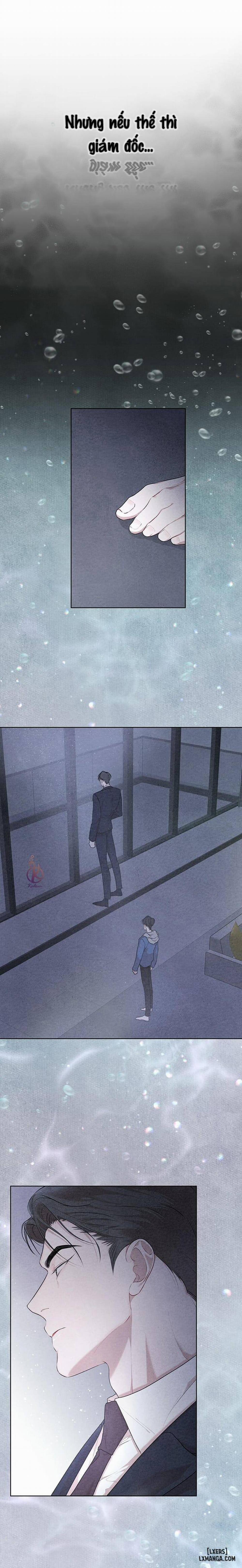 Hình thái khởi sinh 50 trang 13