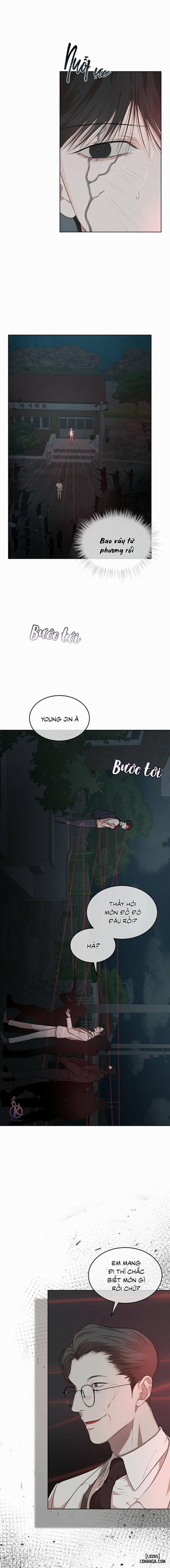 Hình thái khởi sinh 51 trang 11