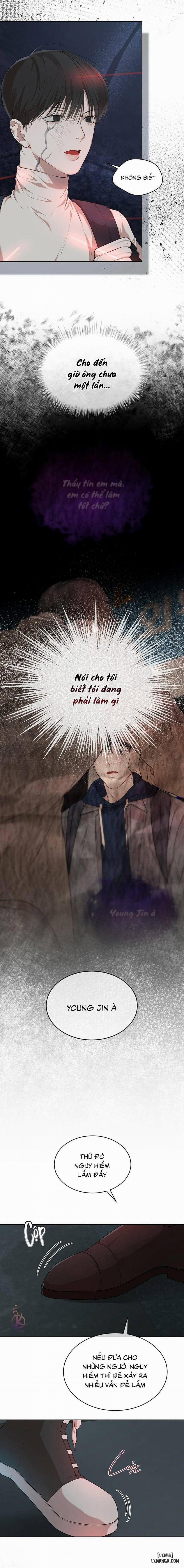 Hình thái khởi sinh 51 trang 12