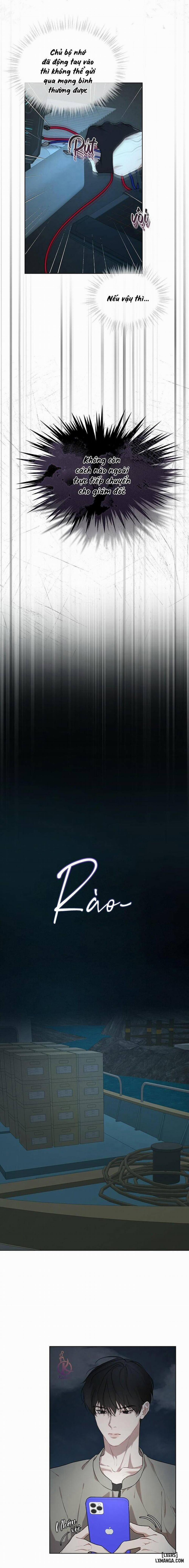 Hình thái khởi sinh 51 trang 6