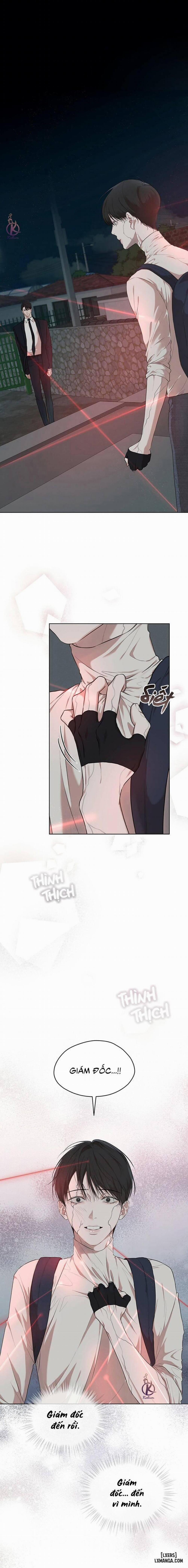 Hình thái khởi sinh 52 trang 0