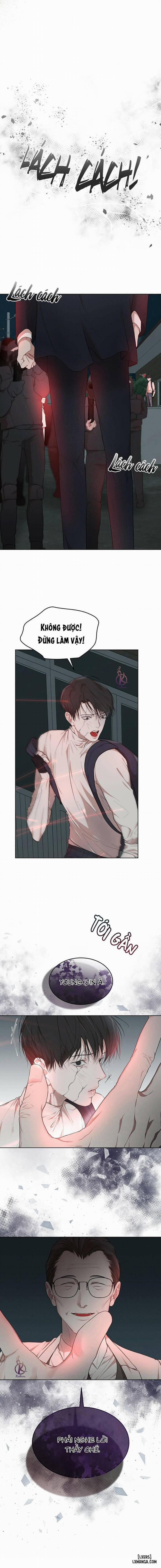 Hình thái khởi sinh 52 trang 1