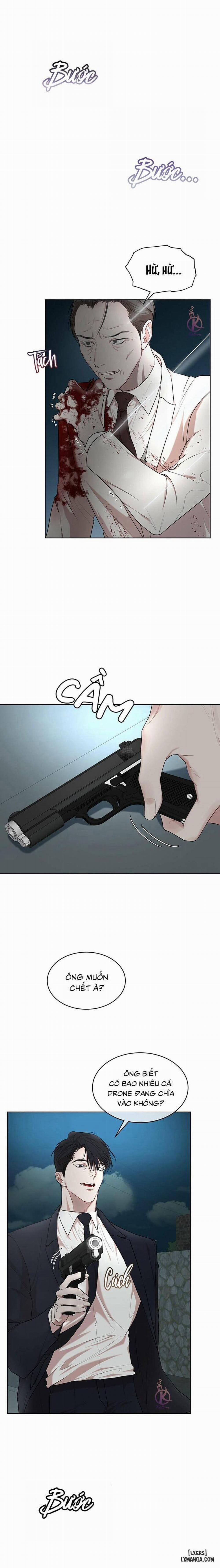 Hình thái khởi sinh 52 trang 11