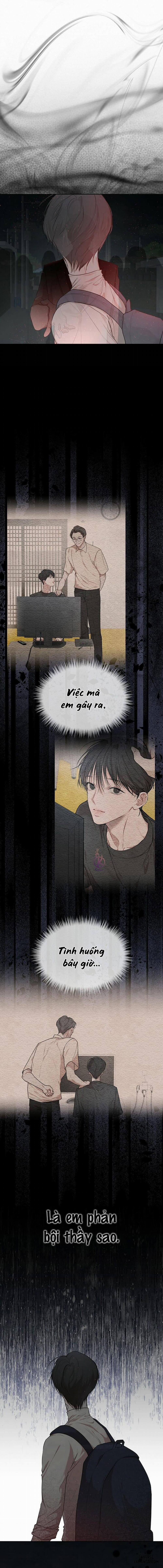 Hình thái khởi sinh 52 trang 4