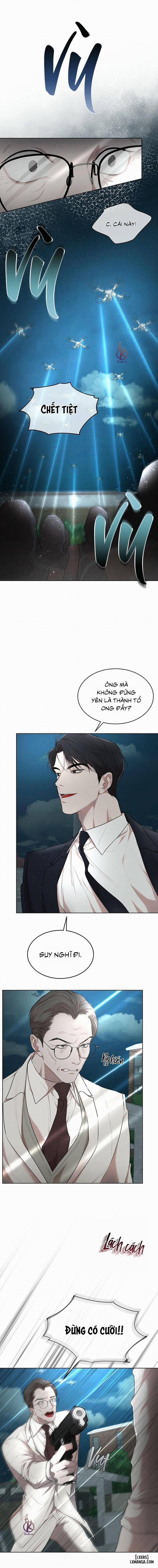 Hình thái khởi sinh 52 trang 9