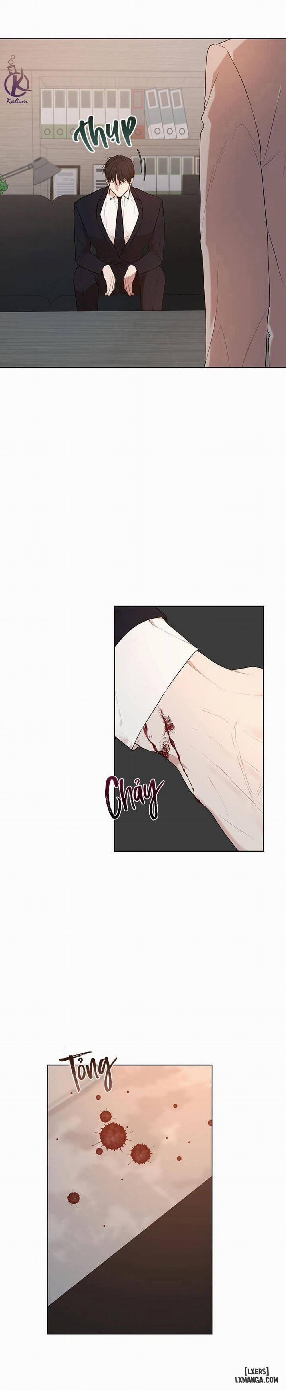 Hình thái khởi sinh 56 trang 7