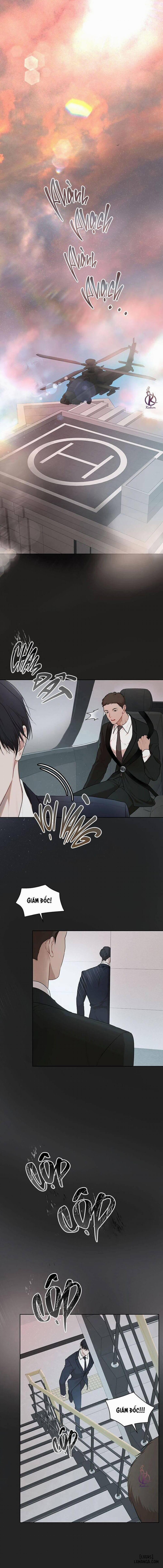 Hình thái khởi sinh 57 trang 0