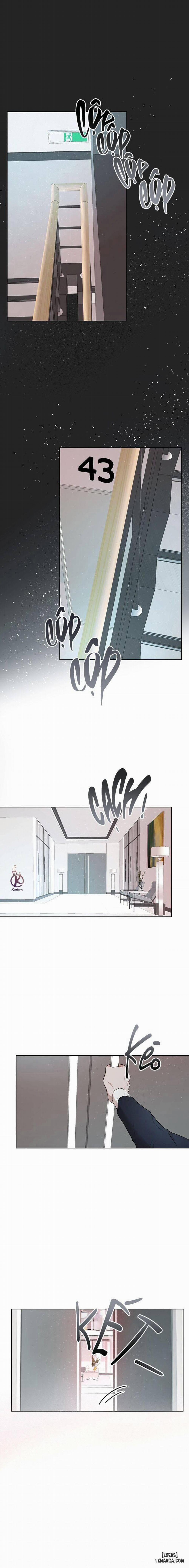 Hình thái khởi sinh 57 trang 1