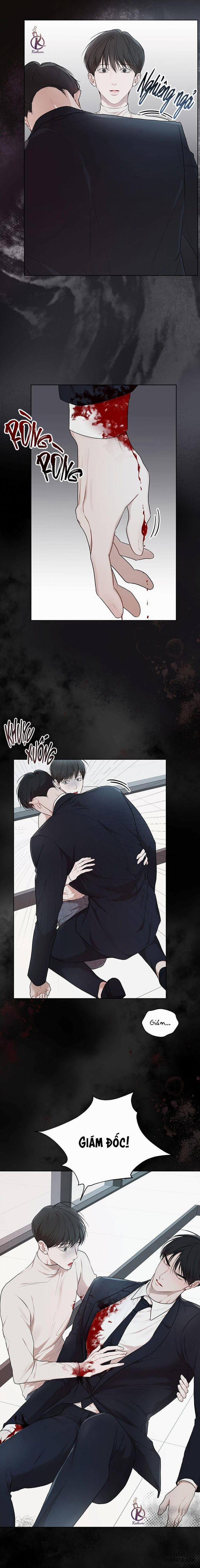 Hình thái khởi sinh 57 trang 11