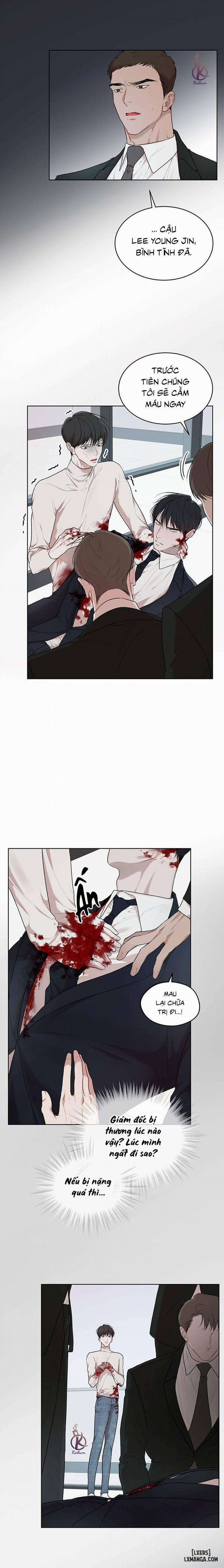 Hình thái khởi sinh 57 trang 13