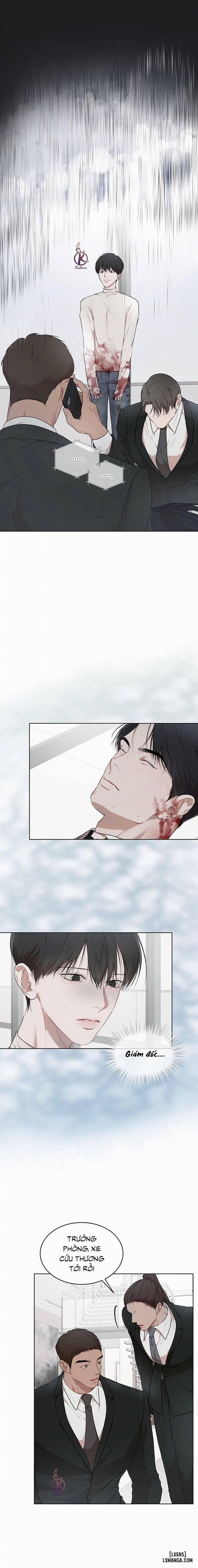 Hình thái khởi sinh 58 trang 0