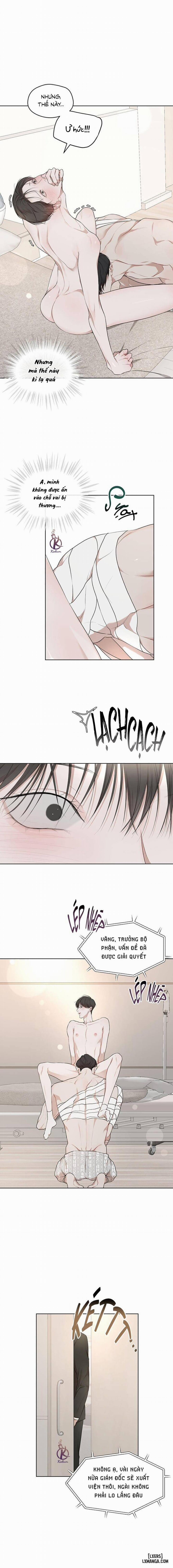 Hình thái khởi sinh 59 trang 11