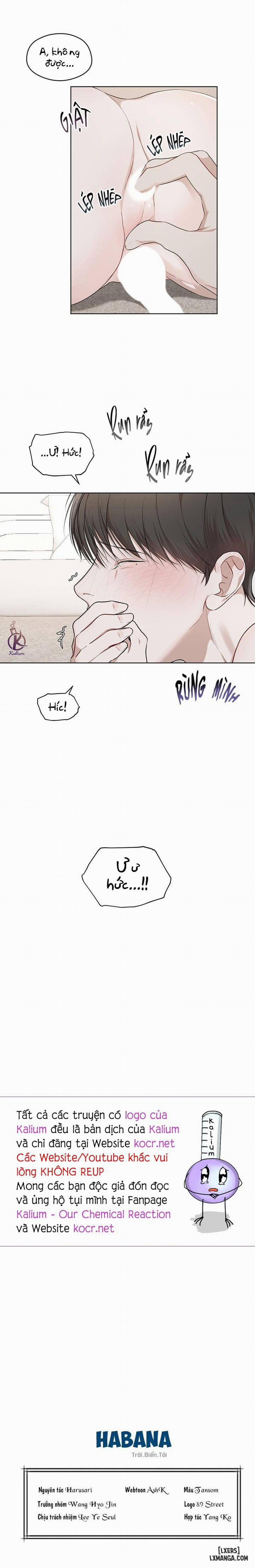 Hình thái khởi sinh 59 trang 14