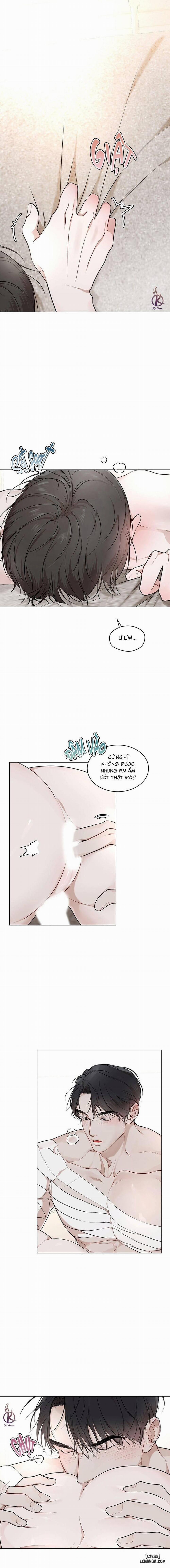 Hình thái khởi sinh 60 trang 0