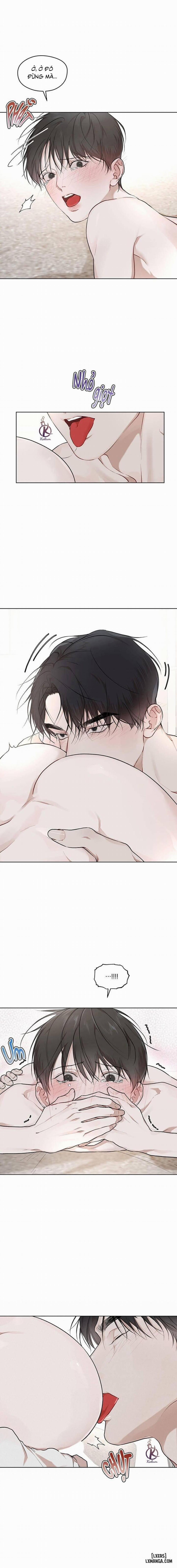 Hình thái khởi sinh 60 trang 1