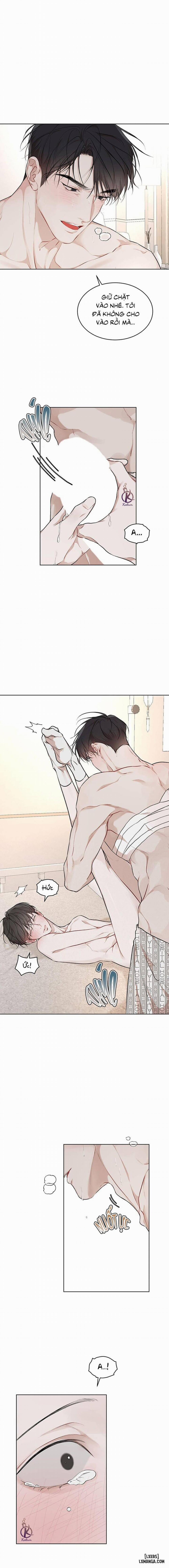 Hình thái khởi sinh 60 trang 10