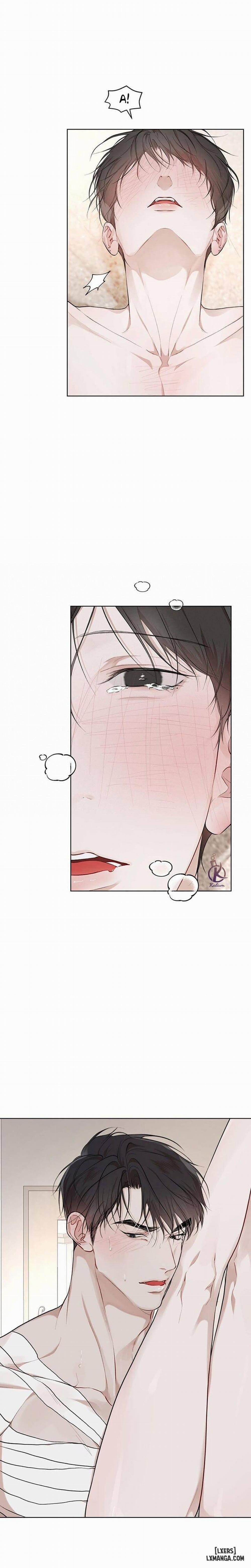 Hình thái khởi sinh 60 trang 8